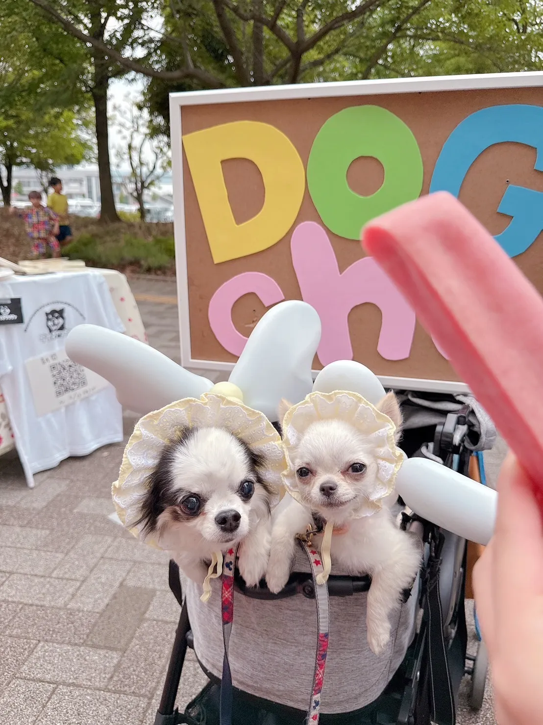 DogChuを頬張る犬たち